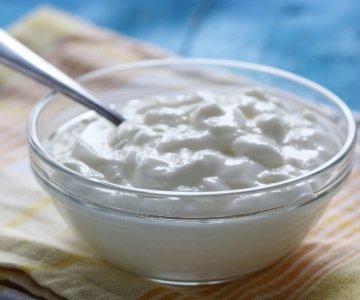 Yoğurt